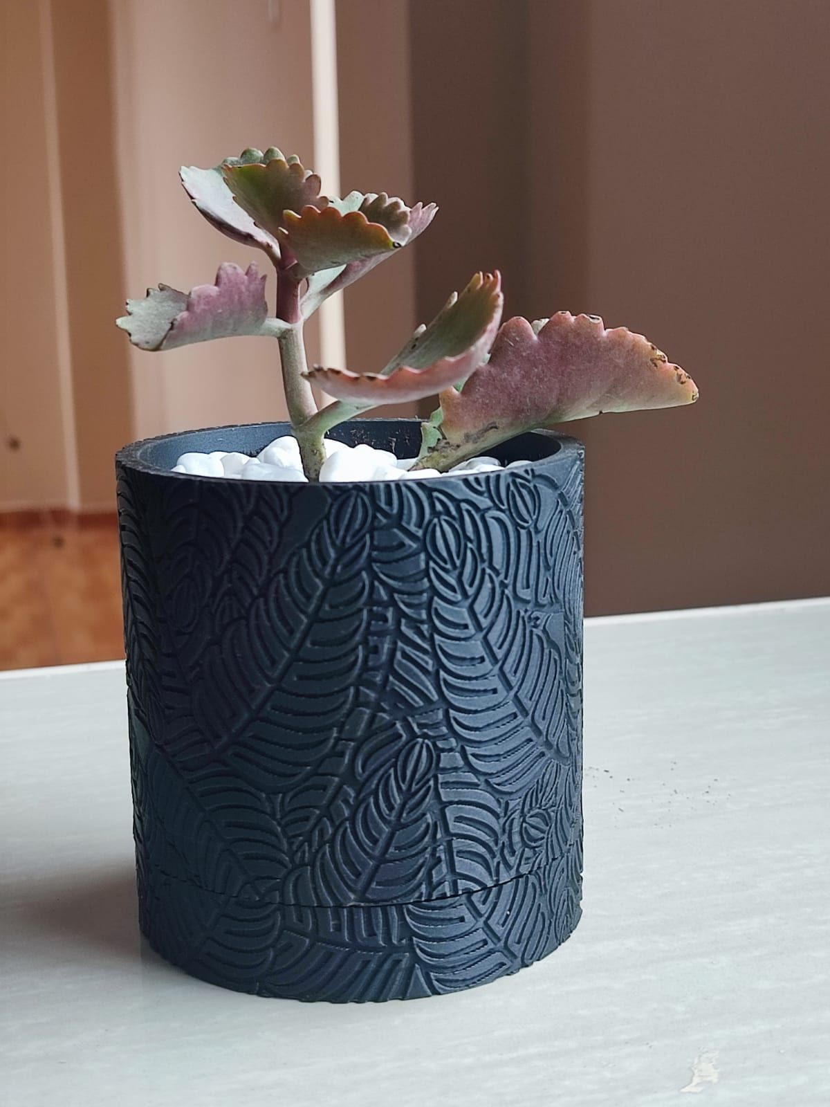 Maceta Palmera